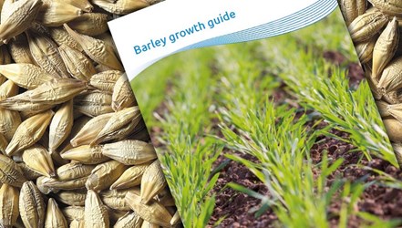 Barley Growth Guide on top of some barley grain